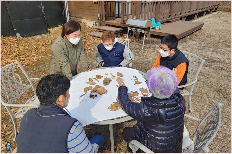 나무와 잎, 열매 나무와 잎, 열매