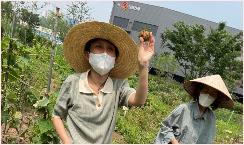 수확의 기쁨