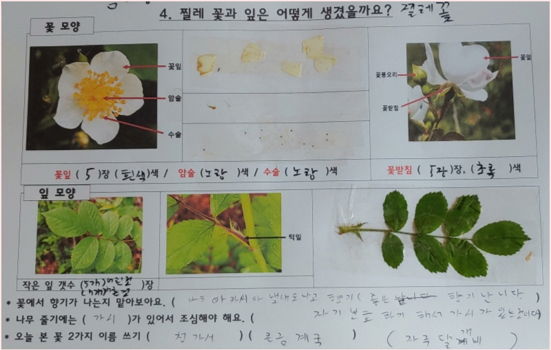 숲을 즐기고, 숲을 배웁니다. 숲을 즐기고, 숲을 배웁니다.