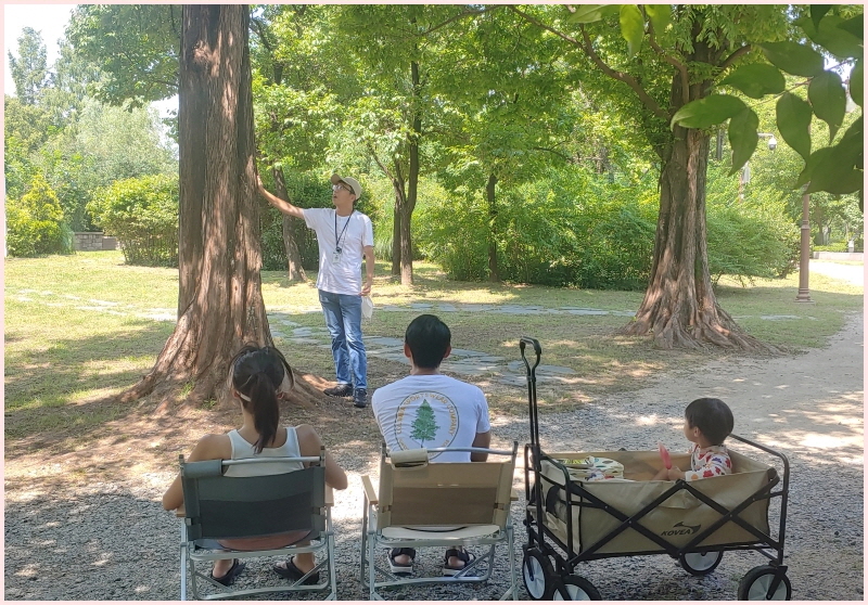 숲활동보조사와 함께하는 평화의 공원 나무 이야기 숲활동보조사와 함께하는 평화의 공원 나무 이야기