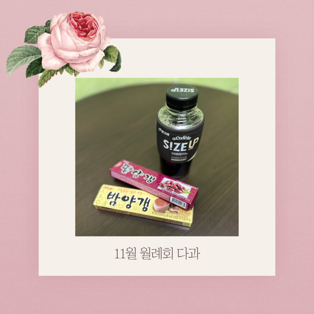 활동지원사 11월 월례회 활동지원사 11월 월례회