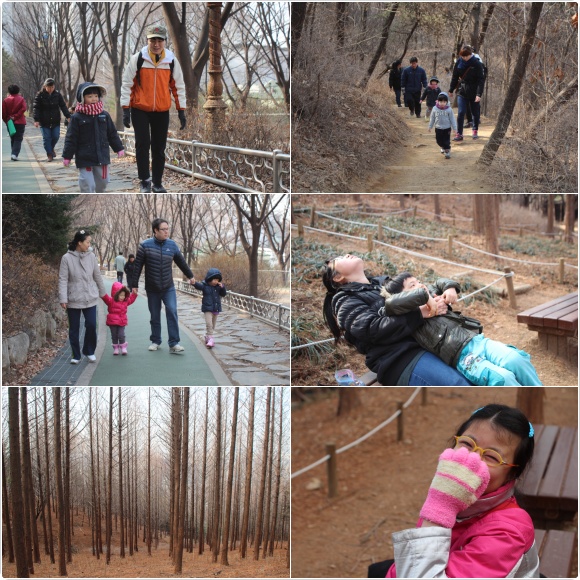 숲속체험학교 서대문 안산 오르기~