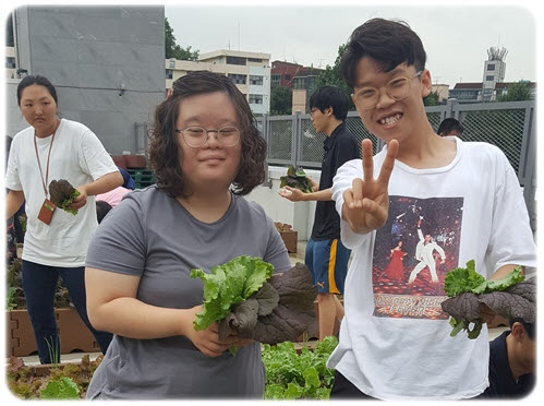 싱싱텃밭 이야기