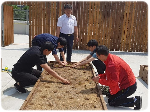 옥상 텃밭 만들기