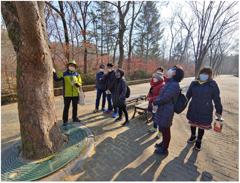 장애인가족을 위한 숲체험 프로그램, 