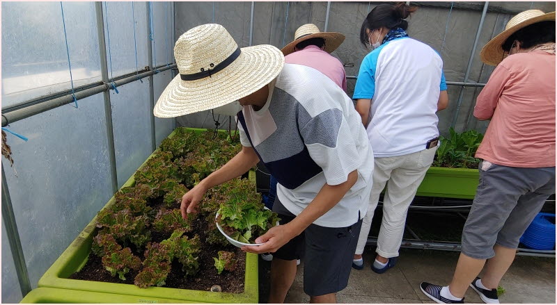 도시농부와 싱싱텃밭