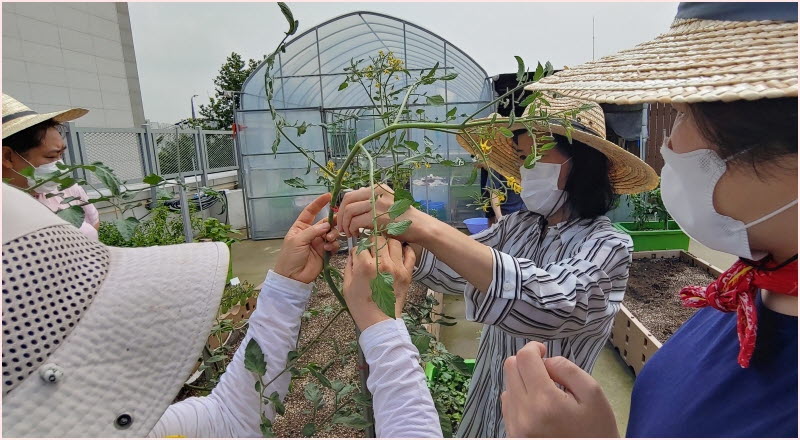 곁순 따고, 거름 주고...