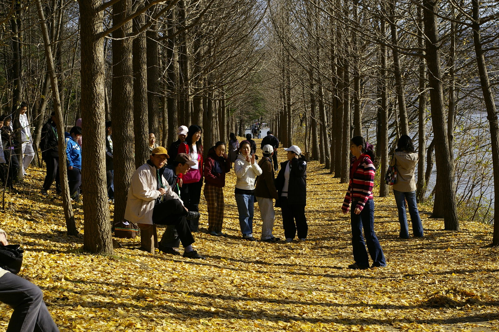 야유회 다녀왔습니다.